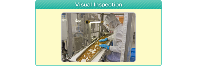 Visual Inspection Sugar Coating / Film Coating