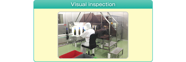 Visual inspection